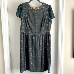 Ann Taylor Loft sage green lace cocktail dress